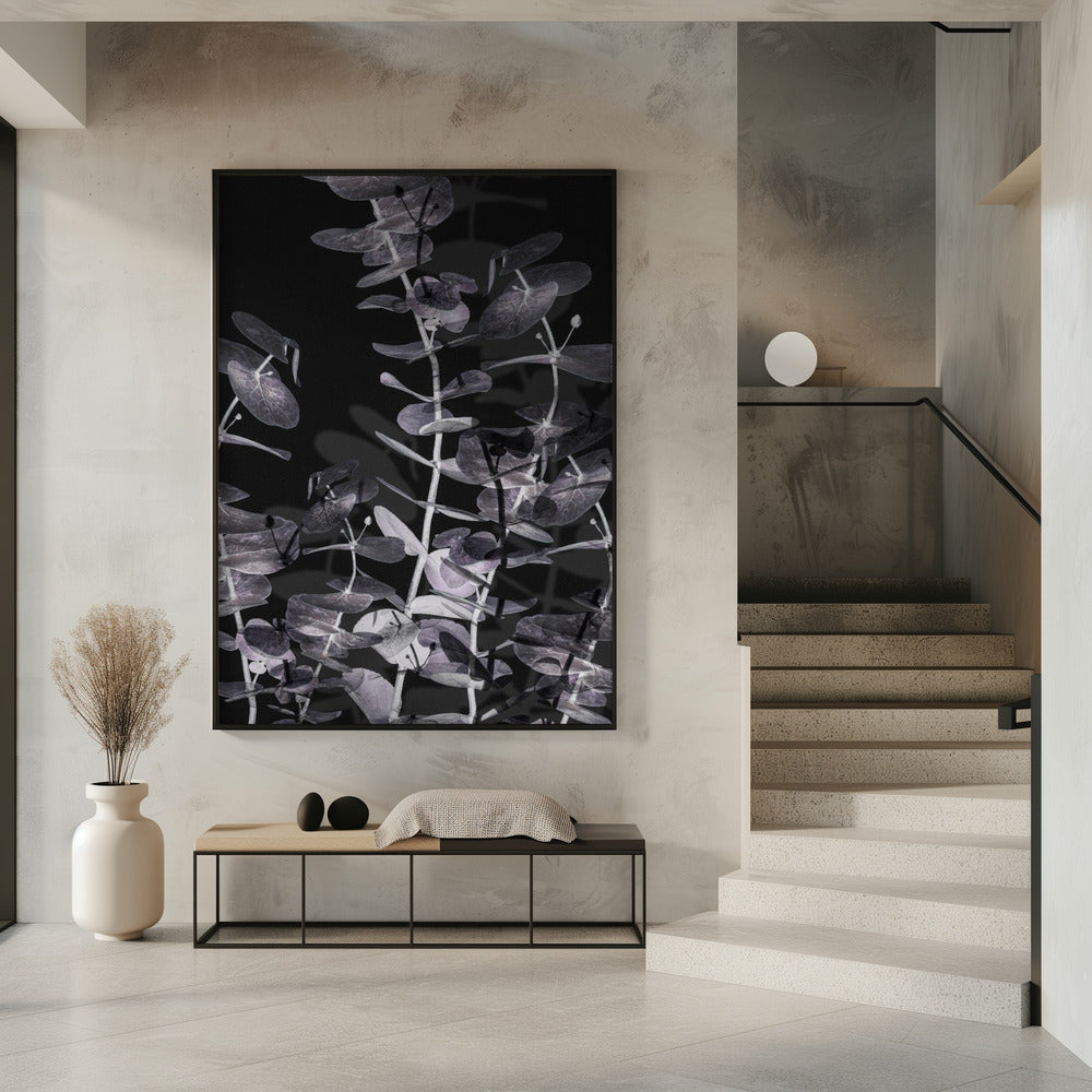 Eukalyptus_Negativ_002 | Poster