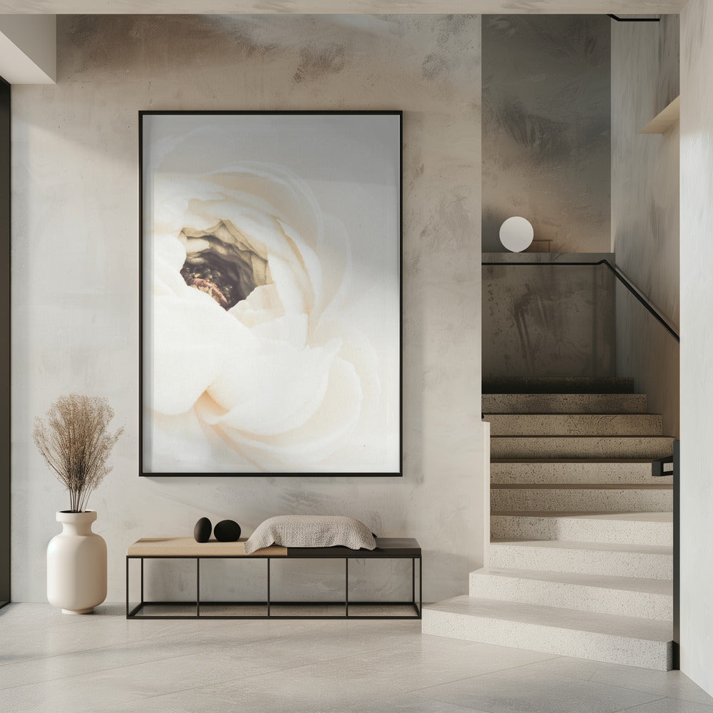 Weiße Blume 01 | Poster