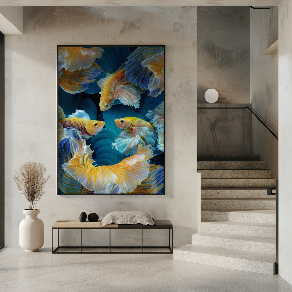 Farbfisch | Poster