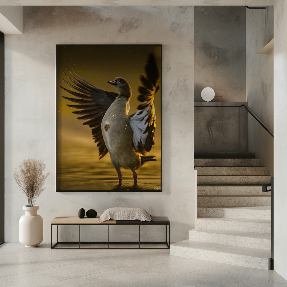 Offenes Herz | Poster