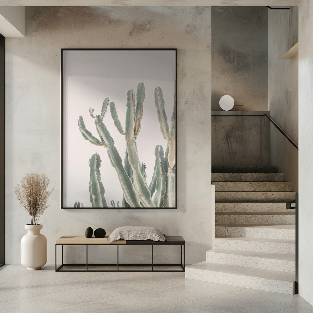 Sunrise Cactus | Poster