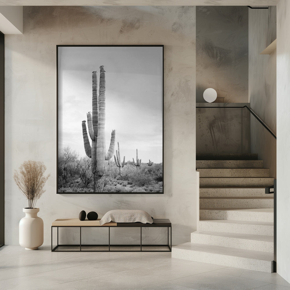 Saguaro Schwarzweiß | Poster