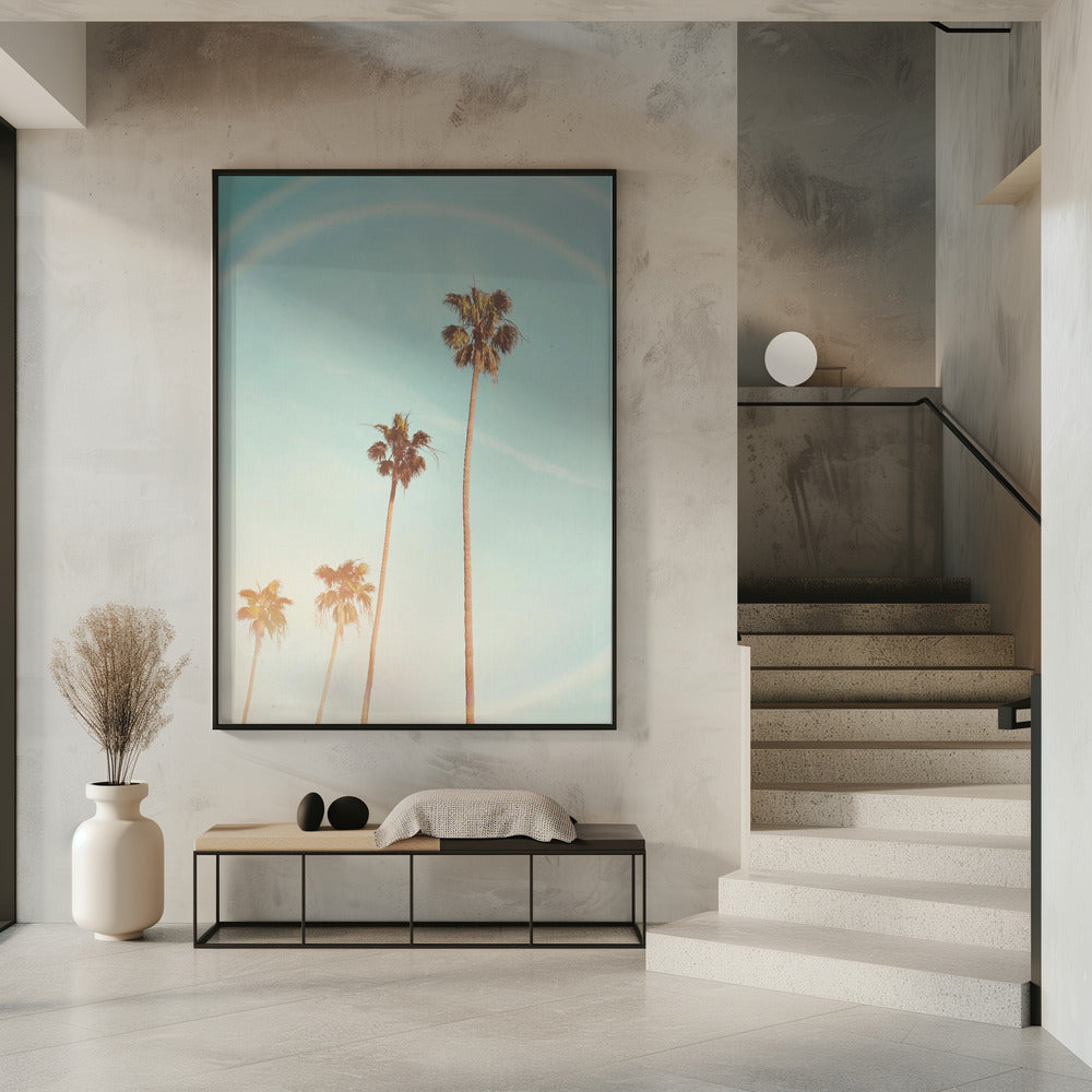 Sonnige Palme in Kalifornien | Poster