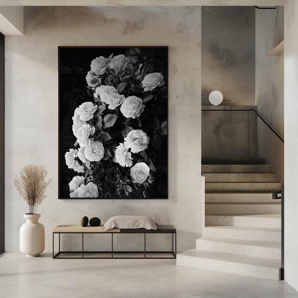 Rosenbusch | Poster