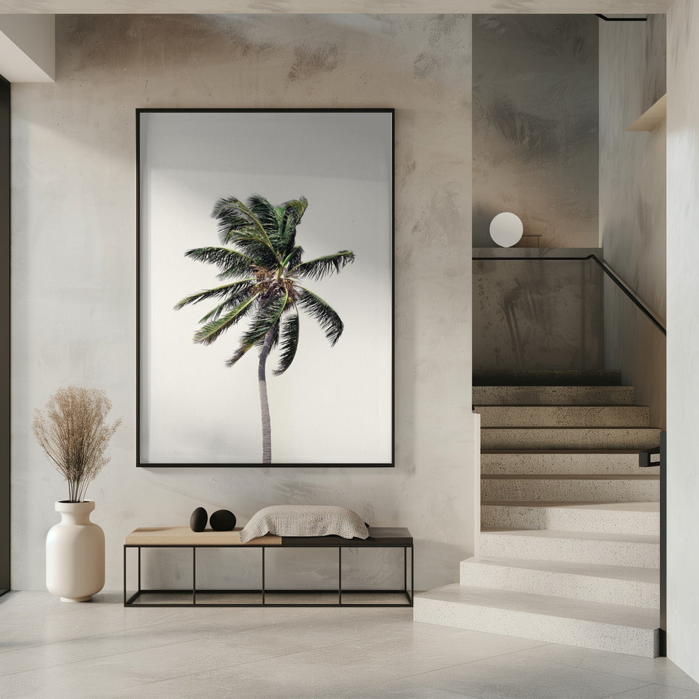 Windige Palme | Poster