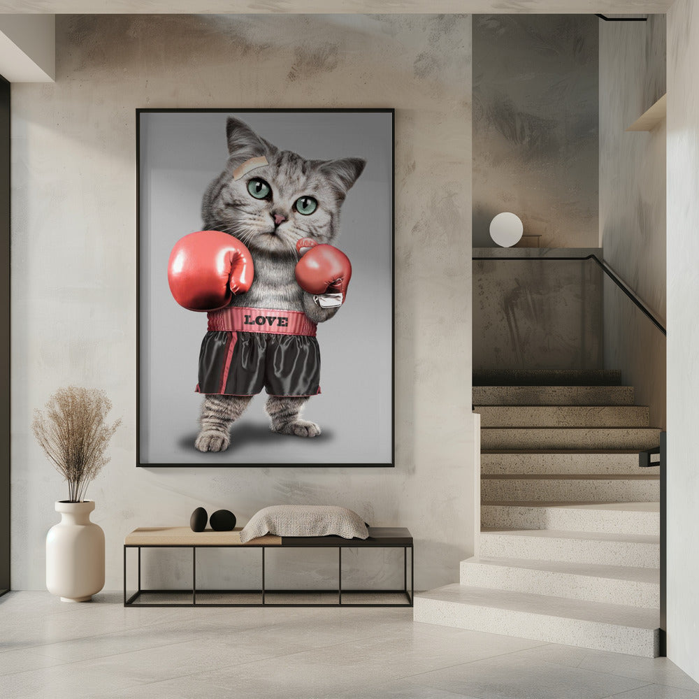 Boxende Katze | Poster
