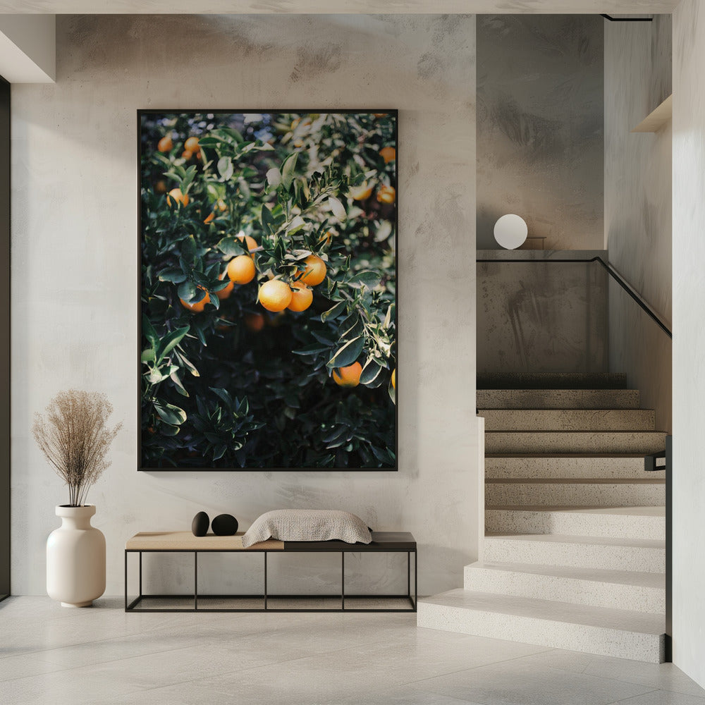 Marrakesh Oranges | Poster