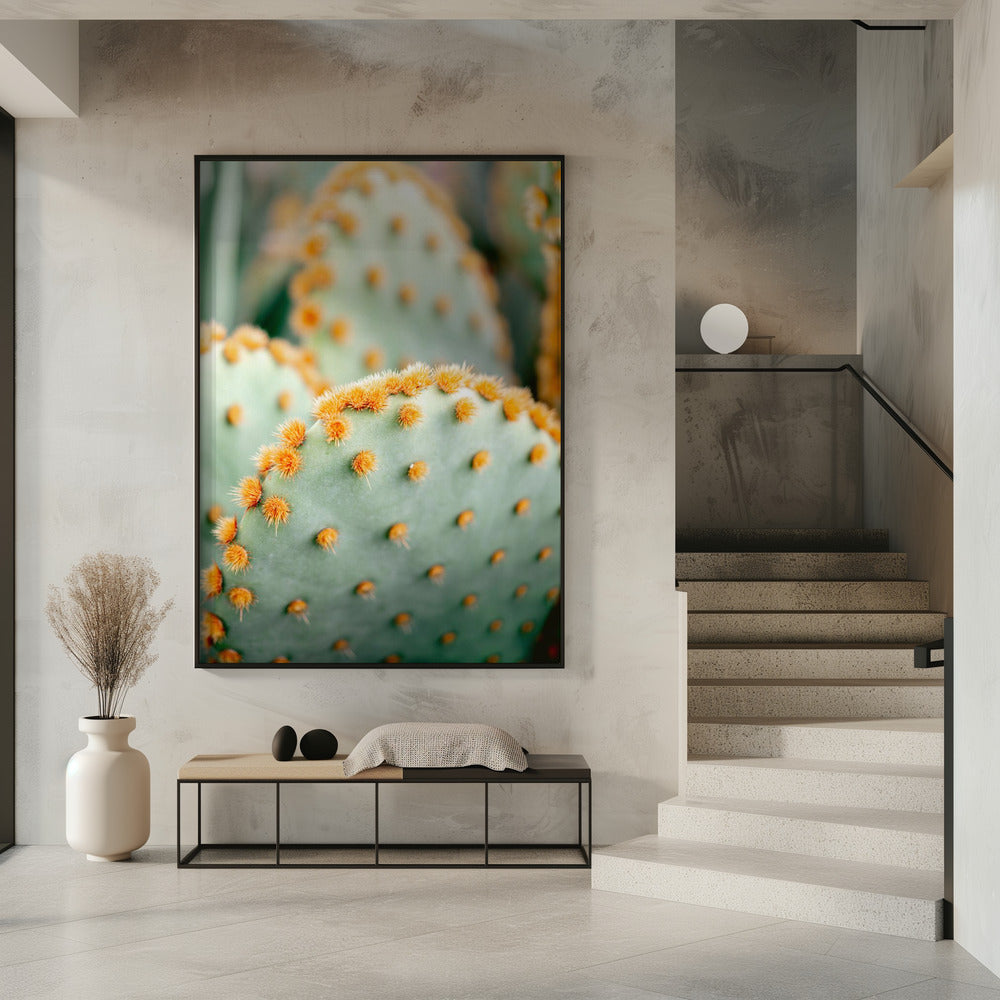 Orange und Grün II – Botanische Fotografie aus Marrakesch | Poster
