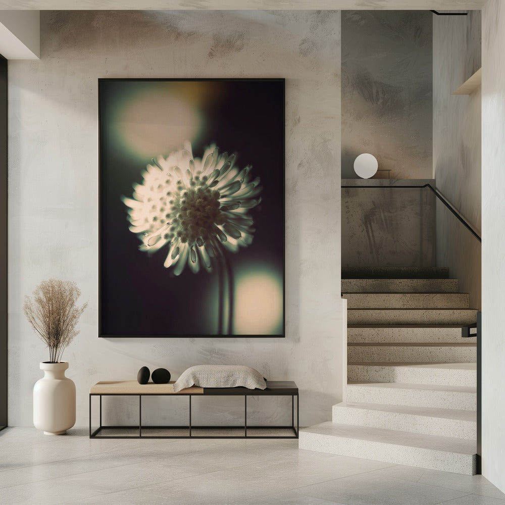 Ätherische Blüte | Poster