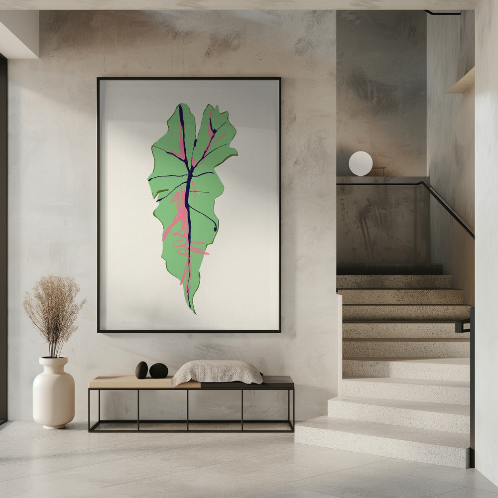 Alocasia Polly | Poster