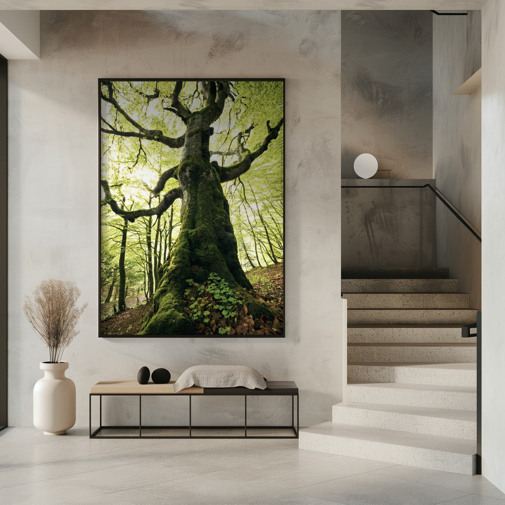 Ent | Poster