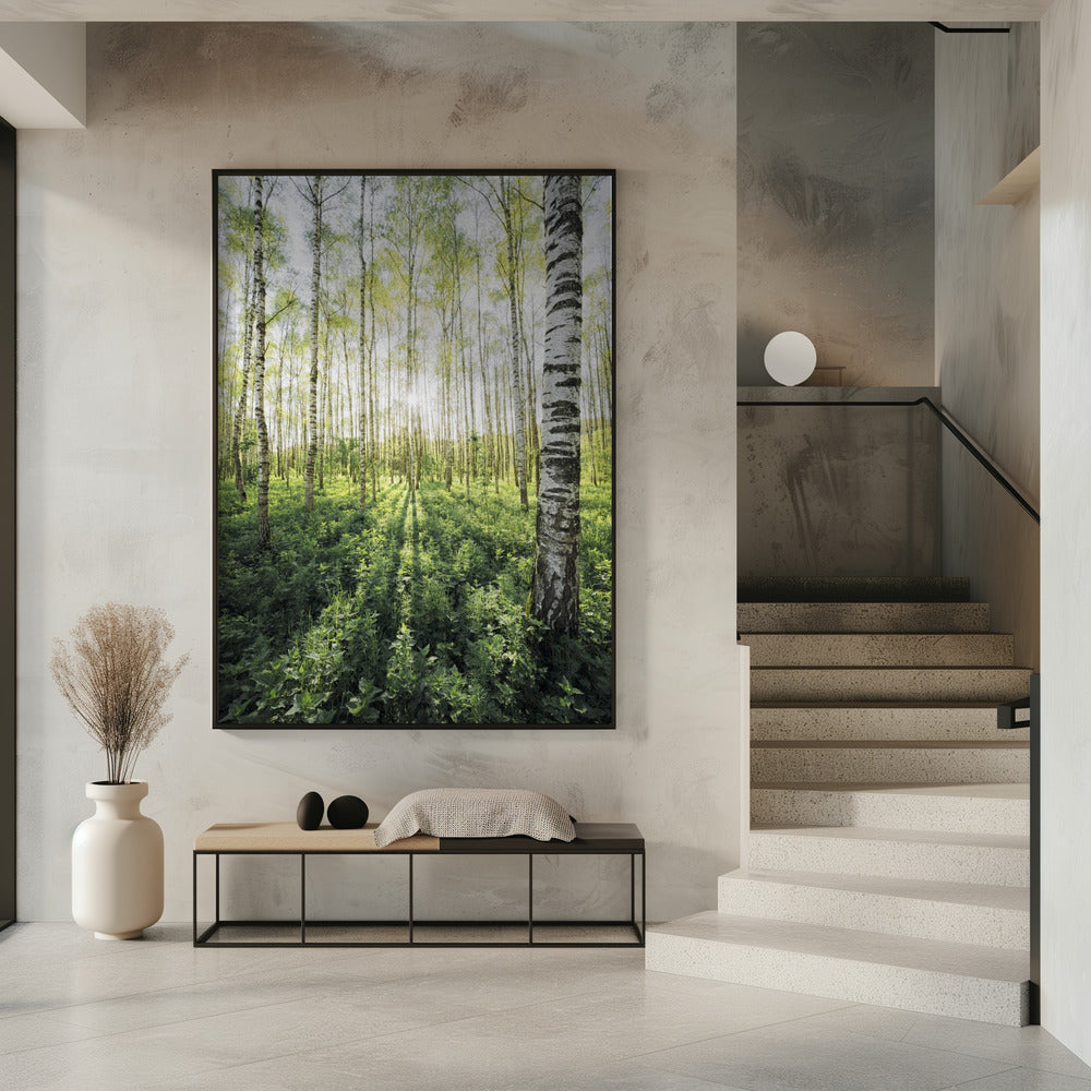 Birkenhain vertikal | Poster