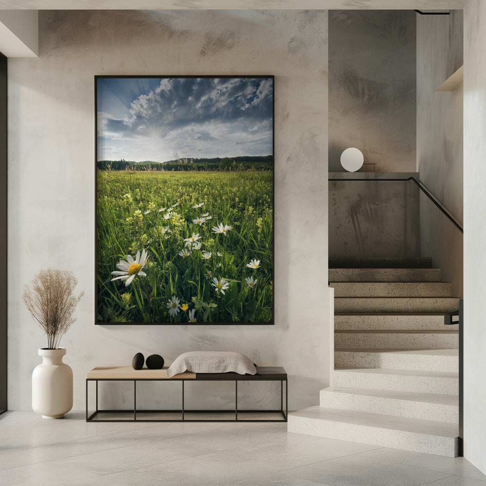 Blühende Wiese | Poster
