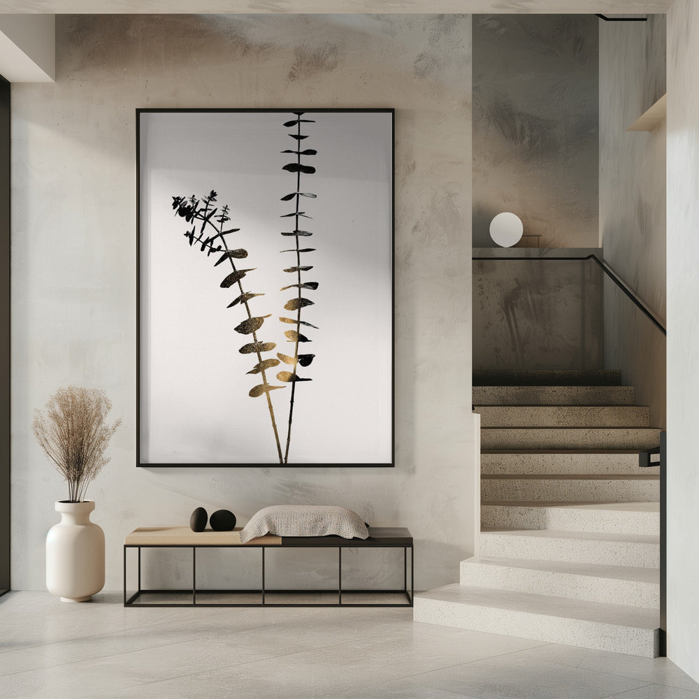 Eukalyptus Dunkelgold | Poster