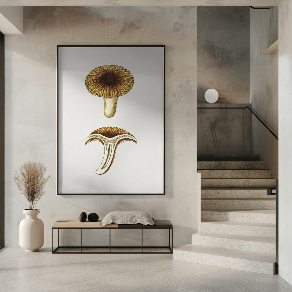 Vintage Chanterelles Edible Mushroom | Poster