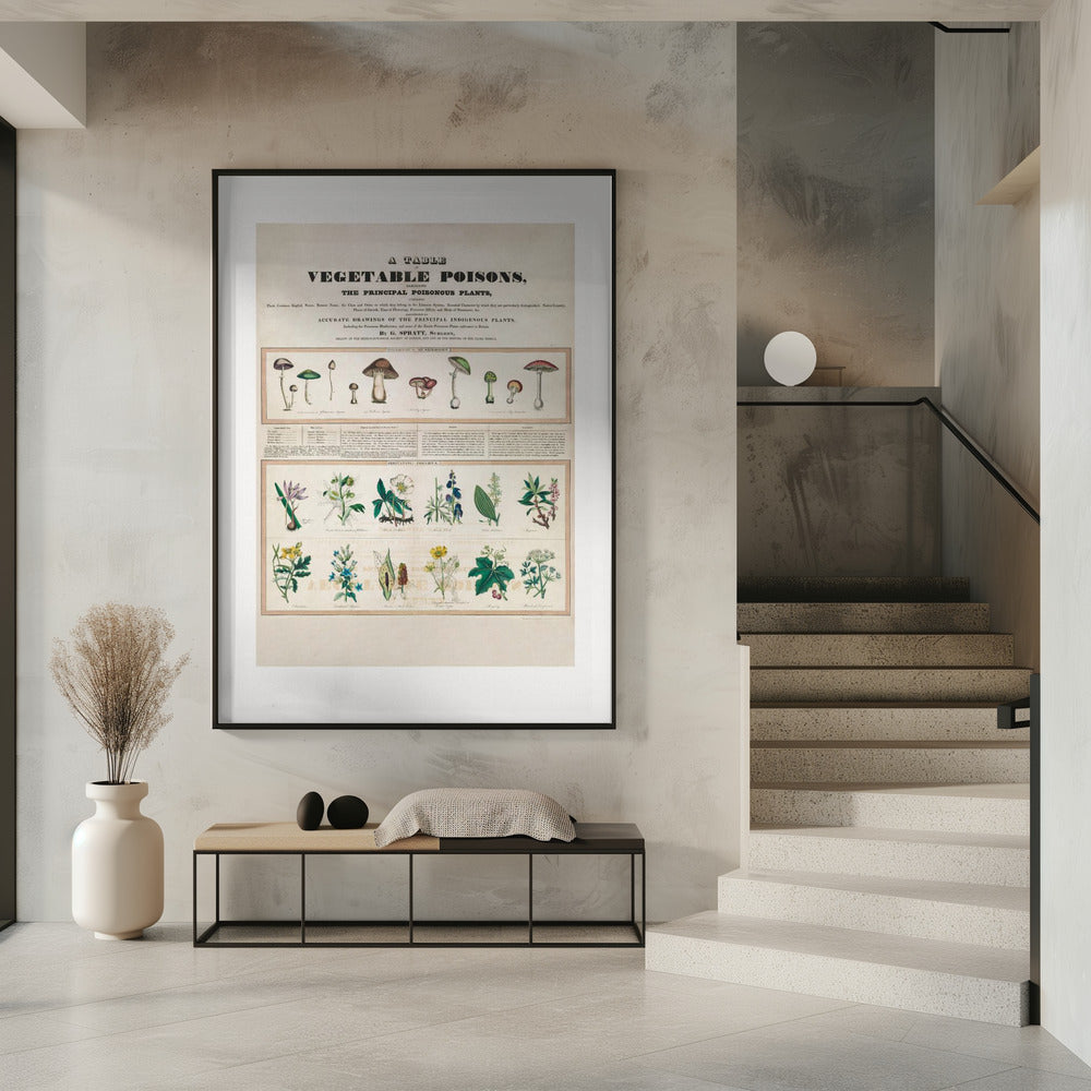 Giftige Pilze Reizgifte | Poster