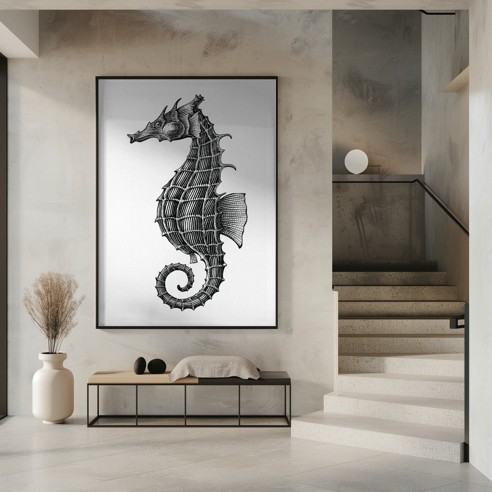 Seepferdchen | Poster