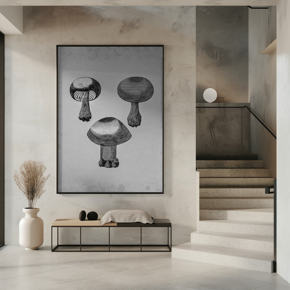 Violetter Webcap-Pilz | Poster