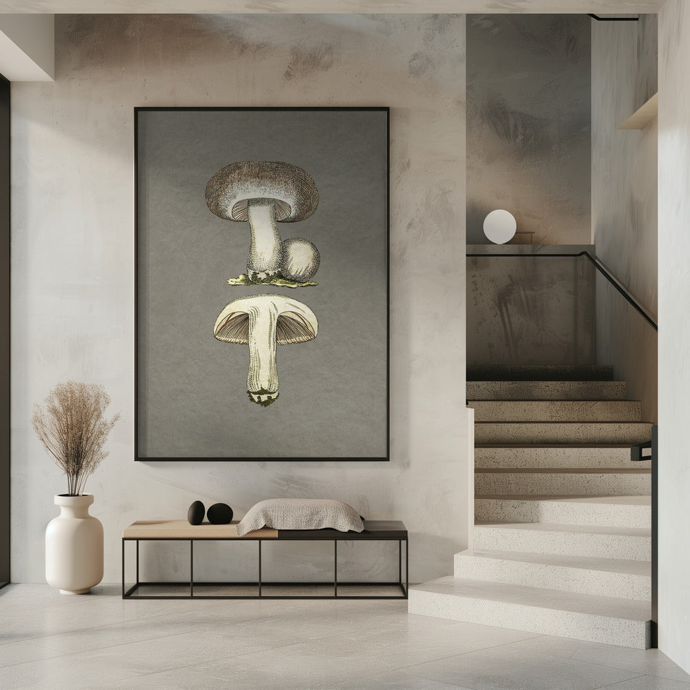 Feldpilz | Poster