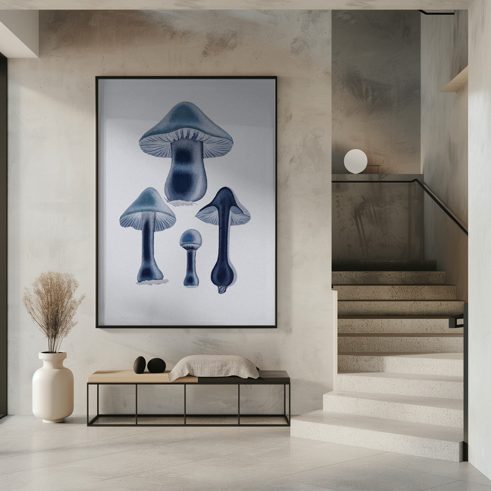 Agaricus Bulbosus - Blau | Poster
