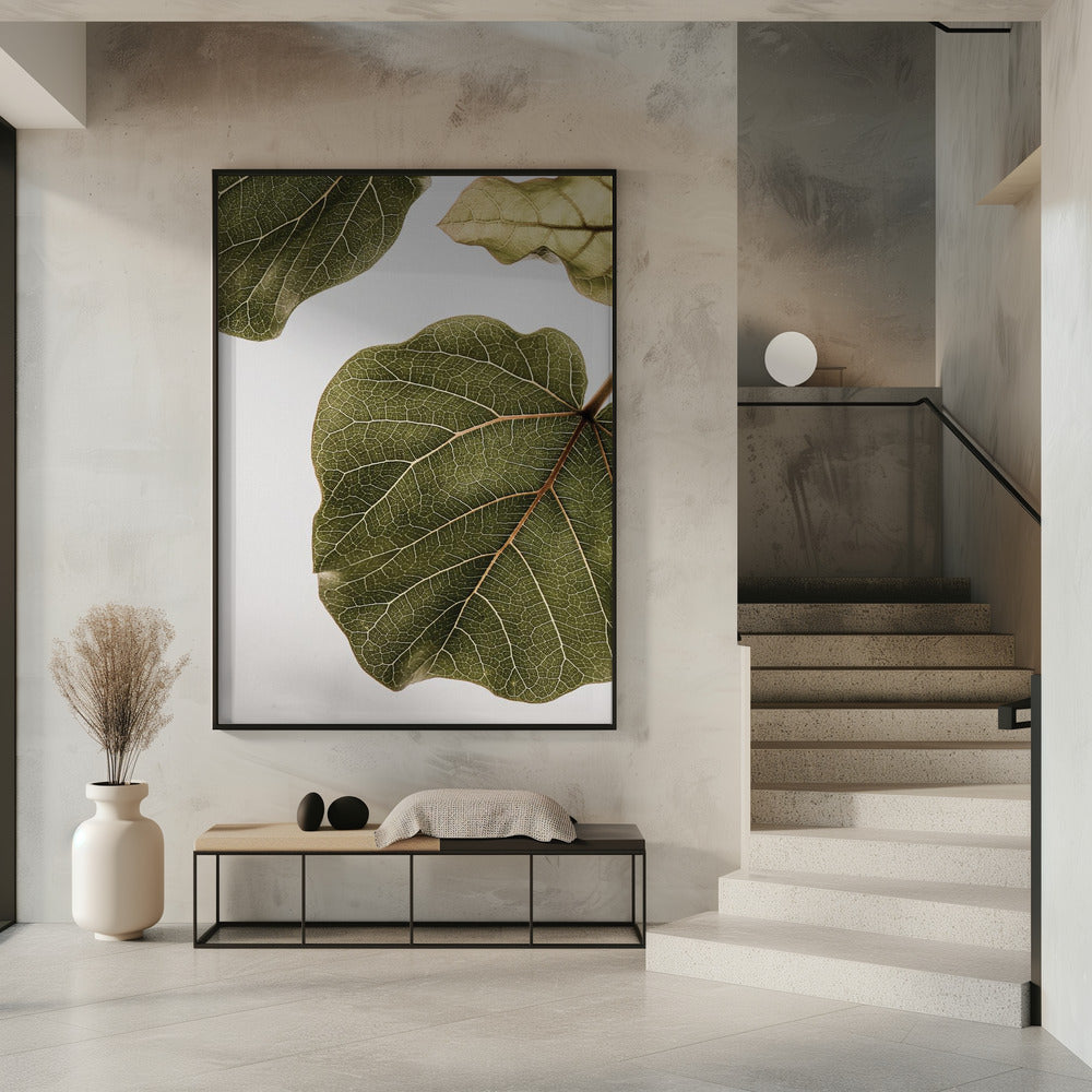 Blattadern-Wandteppich | Poster