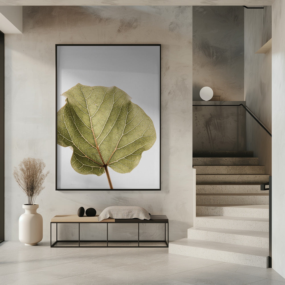 Blattadern-Symphonie | Poster