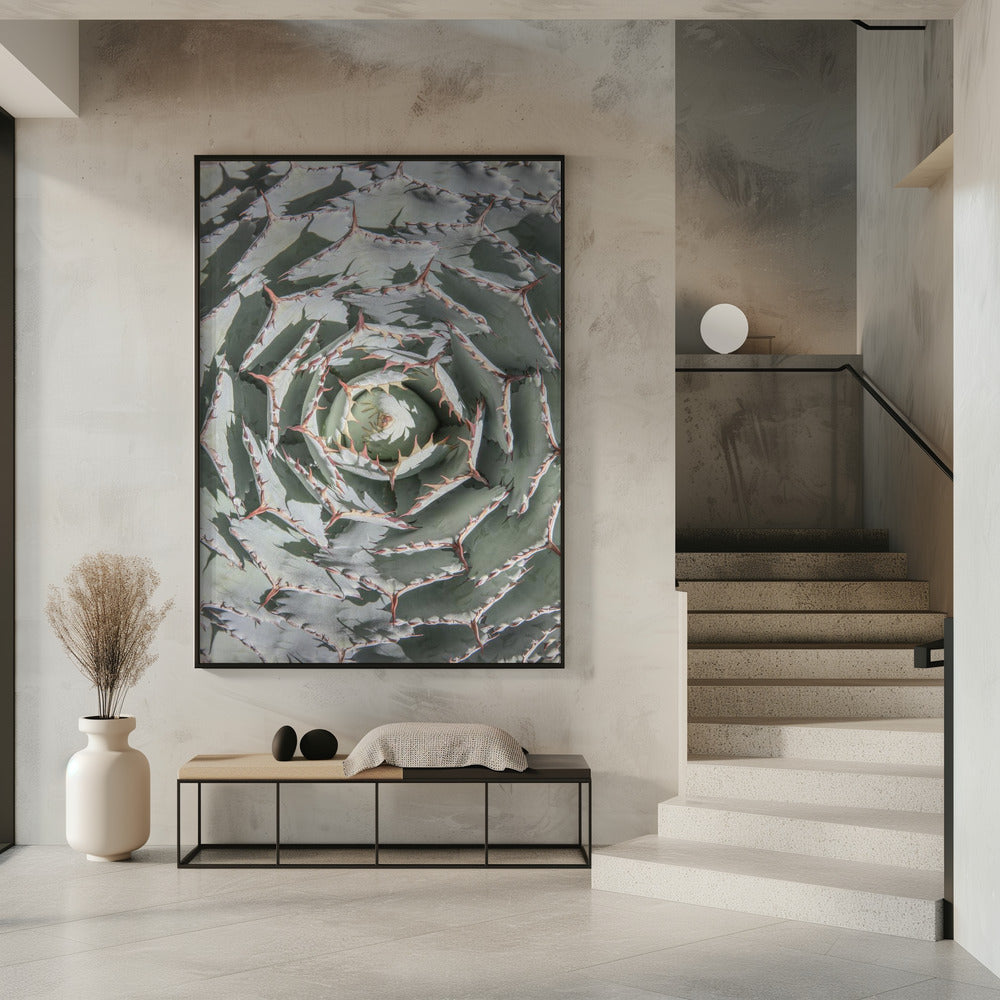 Spiral Succulent Maze | Poster