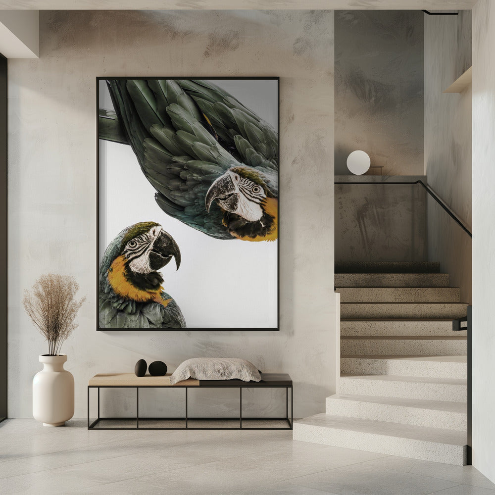 Lebendiges Papageien-Duo | Poster
