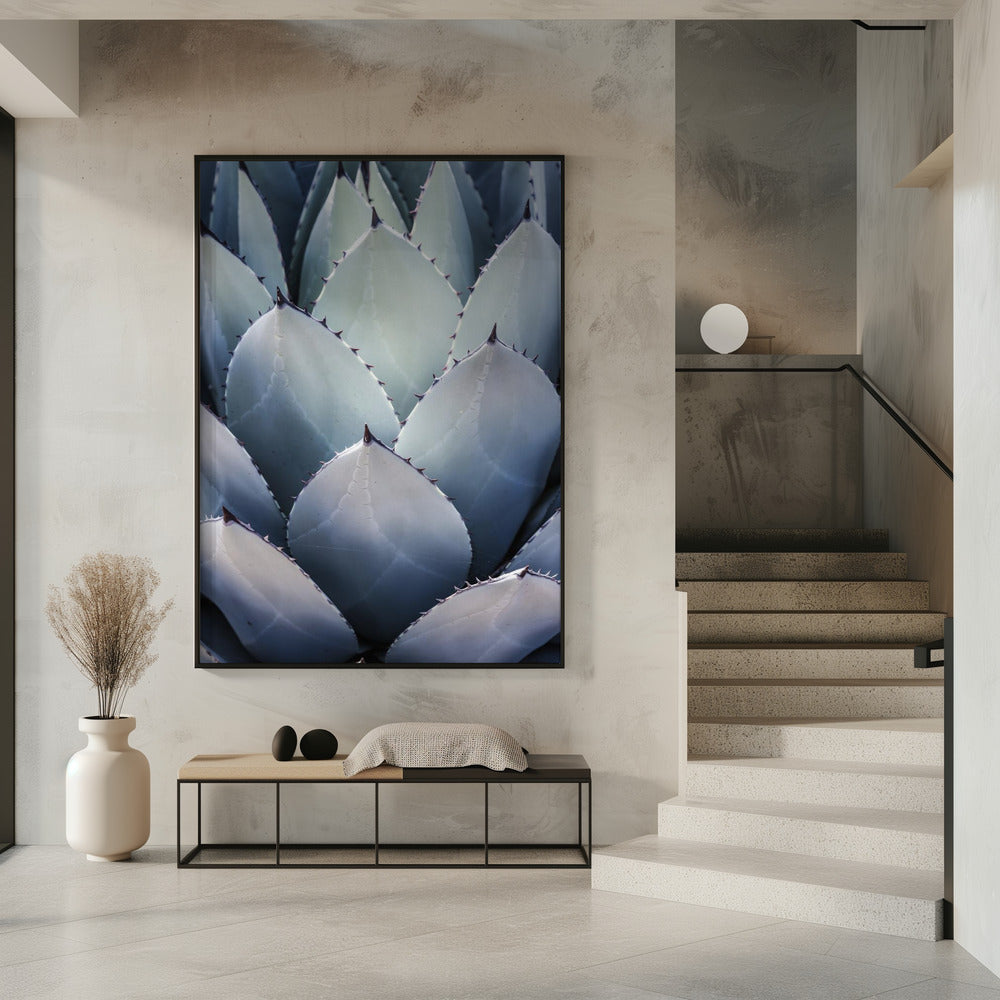 Agavengeometrie | Poster