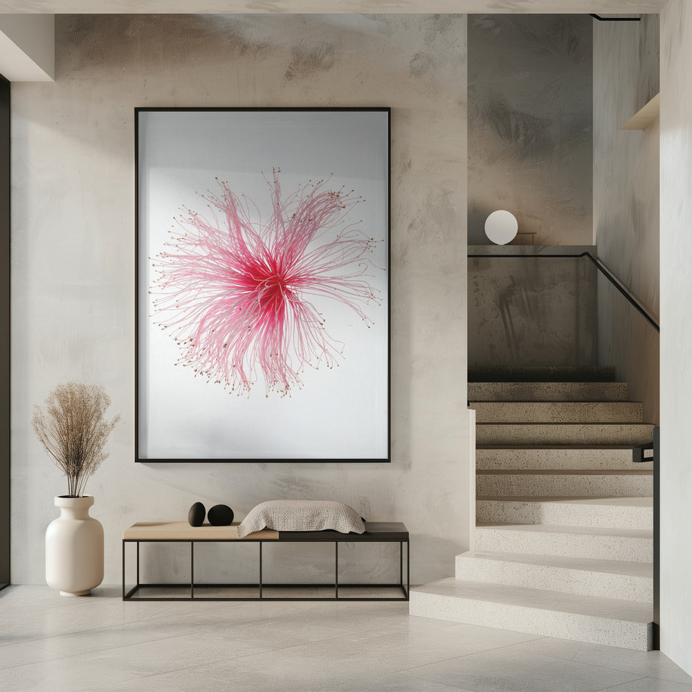 Blumenfeuerwerk | Poster