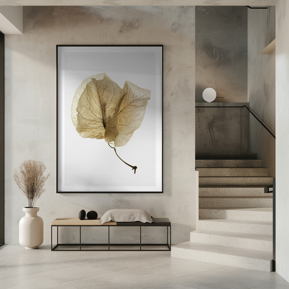 Delicate Leaf Veins | Poster