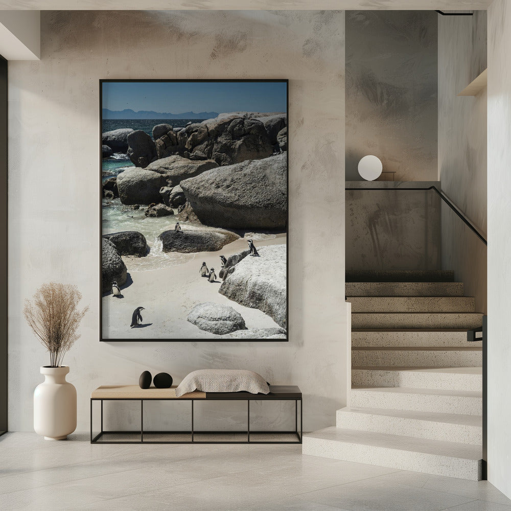 Pinguin-Bucht-Gelassenheit | Poster