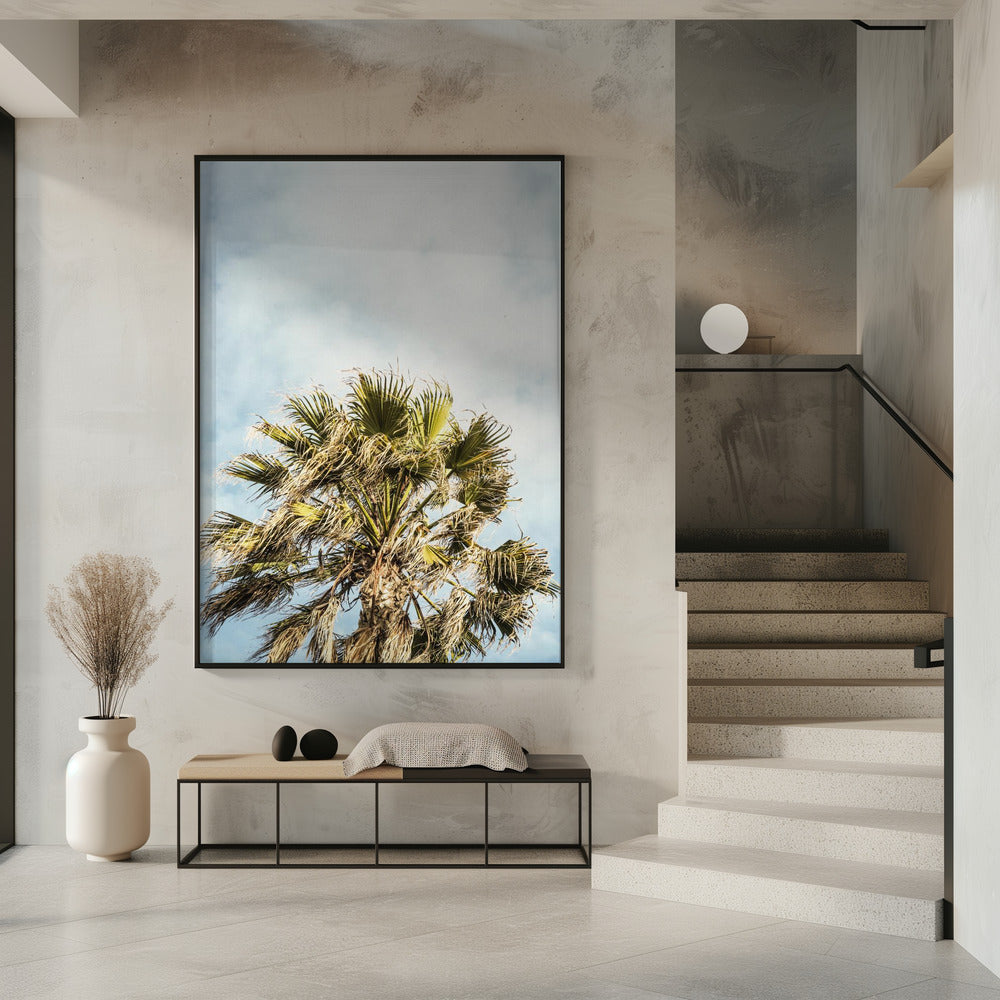 Sonnenbeschienene Wedel | Poster