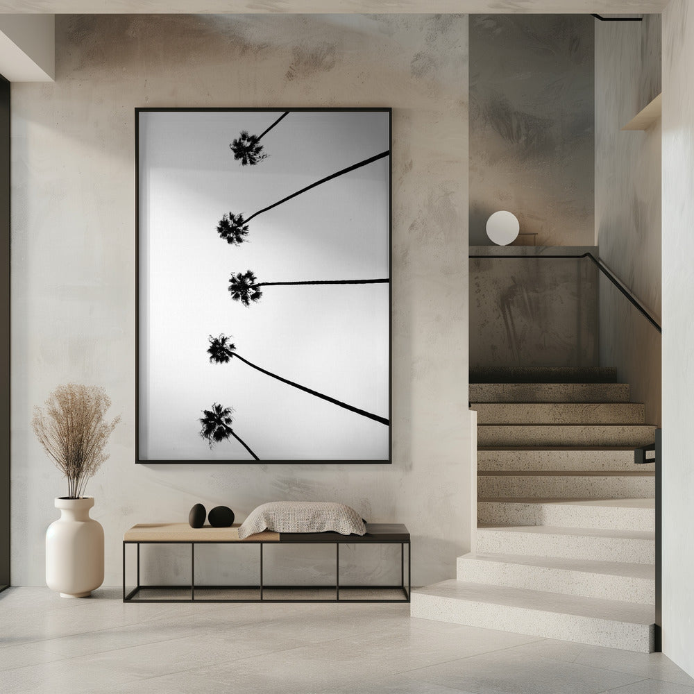 Himmelspalmen | Poster