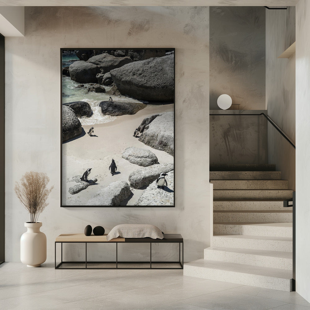 Penguin Beach Stroll | Poster