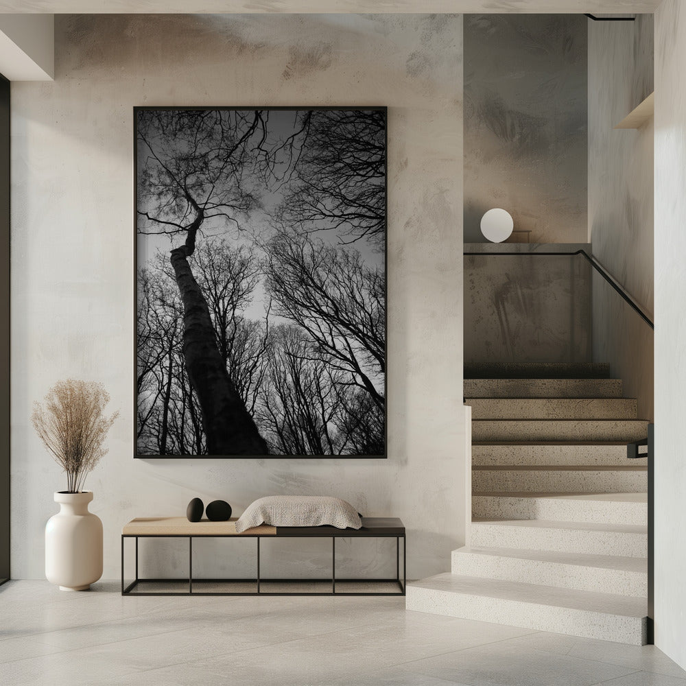 Winters Reichweite | Poster