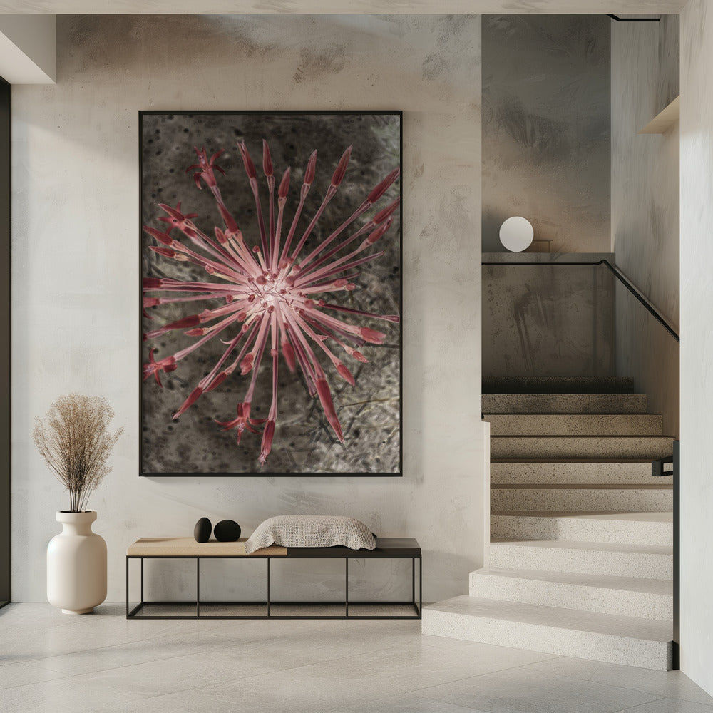 Radiant Blooms | Poster