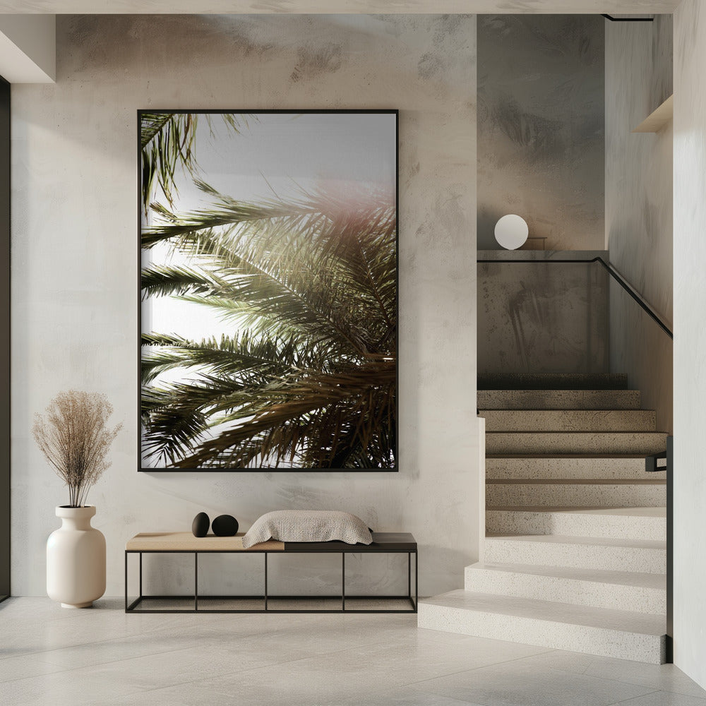 Sonnenbeschienenes Palmenglühen | Poster
