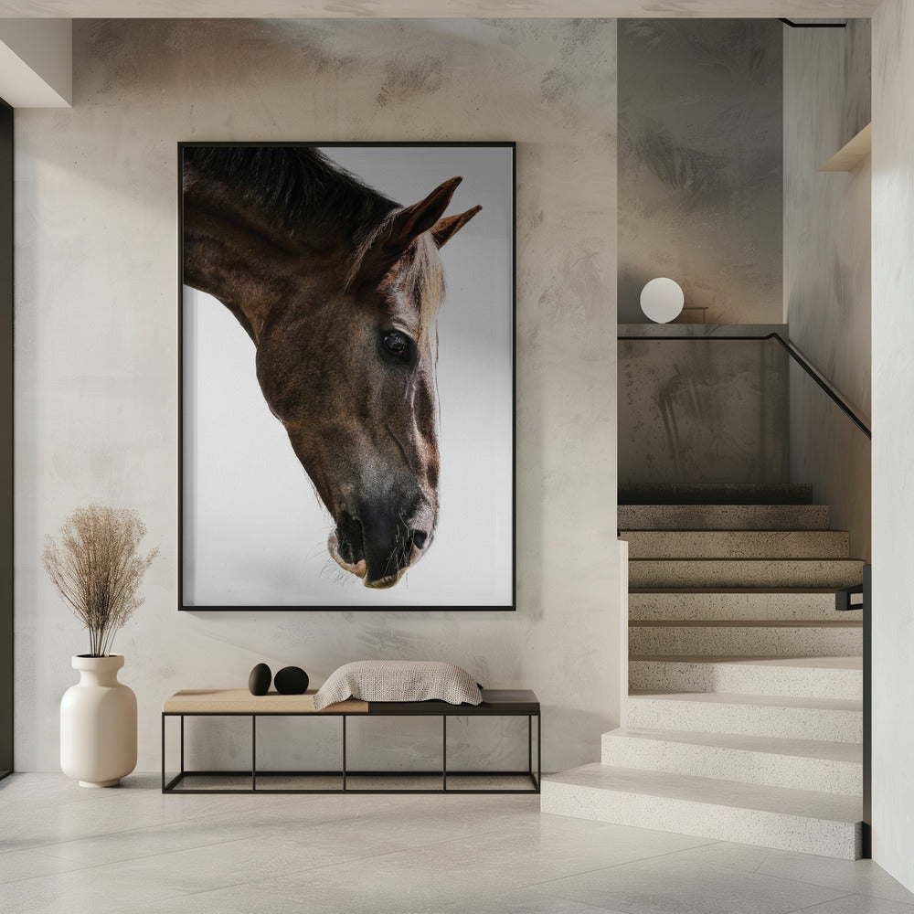 Majestätischer Pferdeblick | Poster