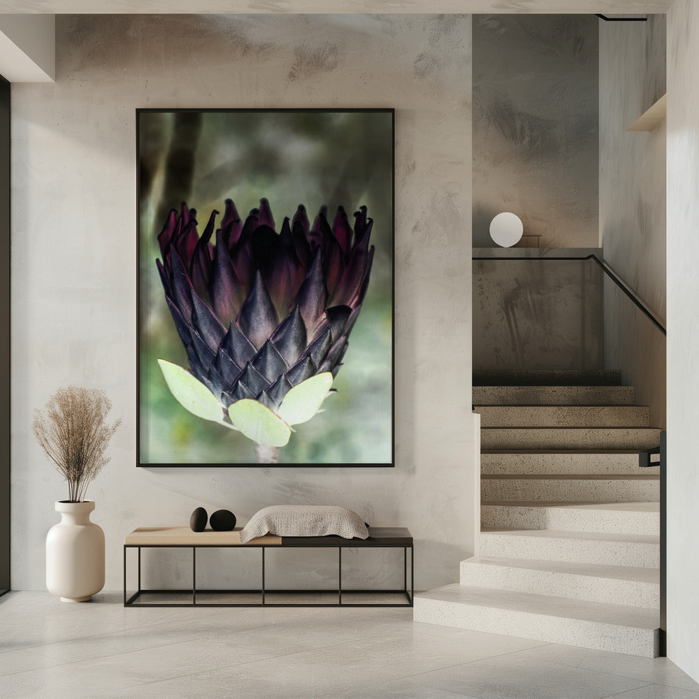 Schattenblüte | Poster