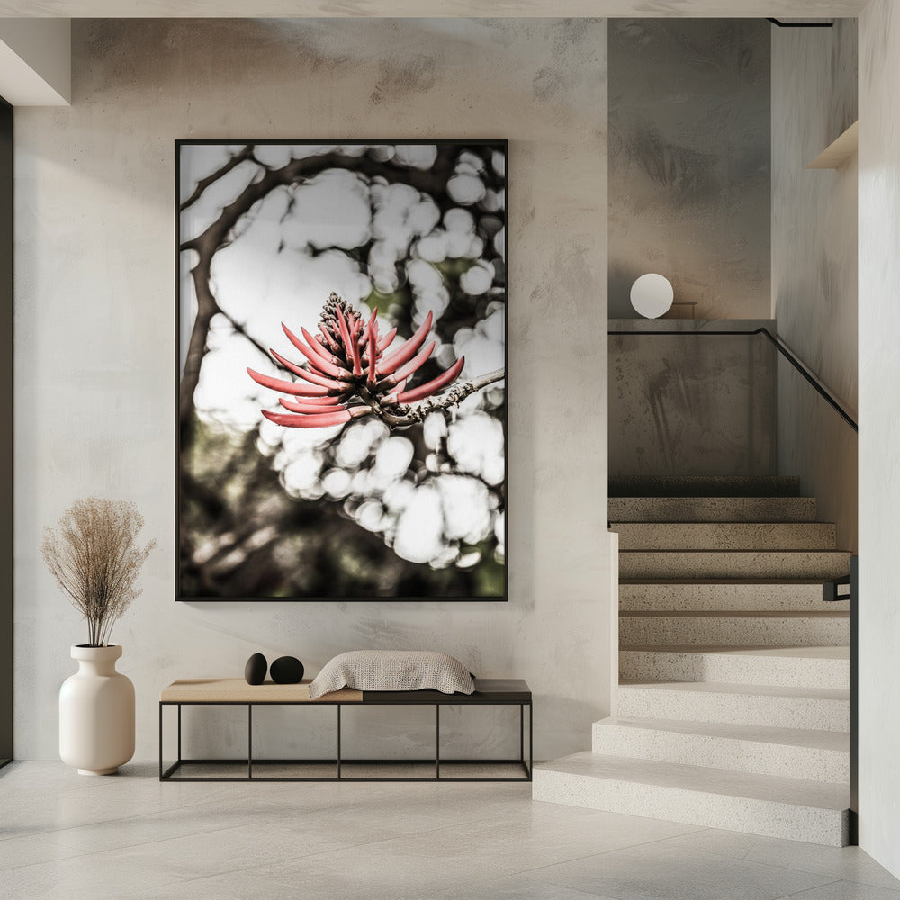 Purpurblüte | Poster
