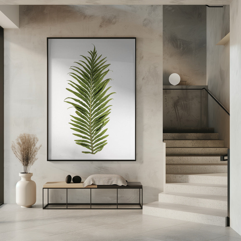 Farneleganz | Poster