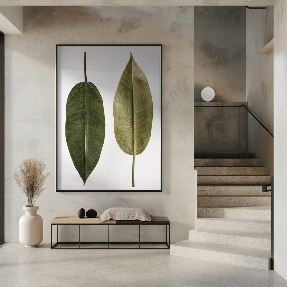 Doppelblatt-Eleganz | Poster