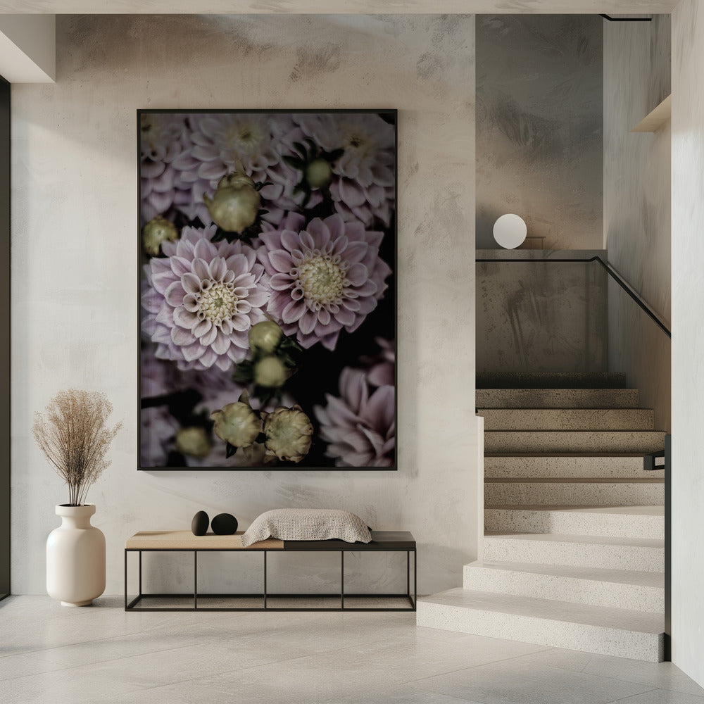 Blütenblätter in voller Blüte | Poster