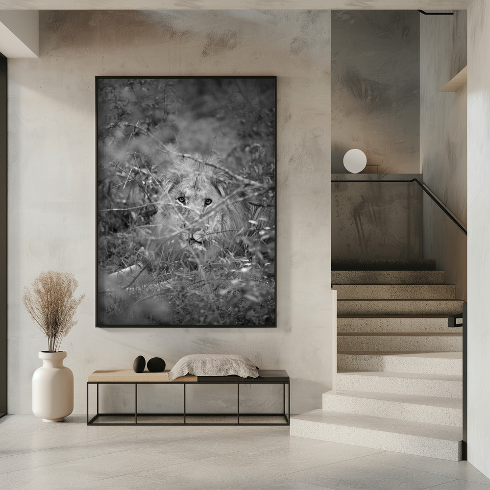 Verborgene Majestät | Poster