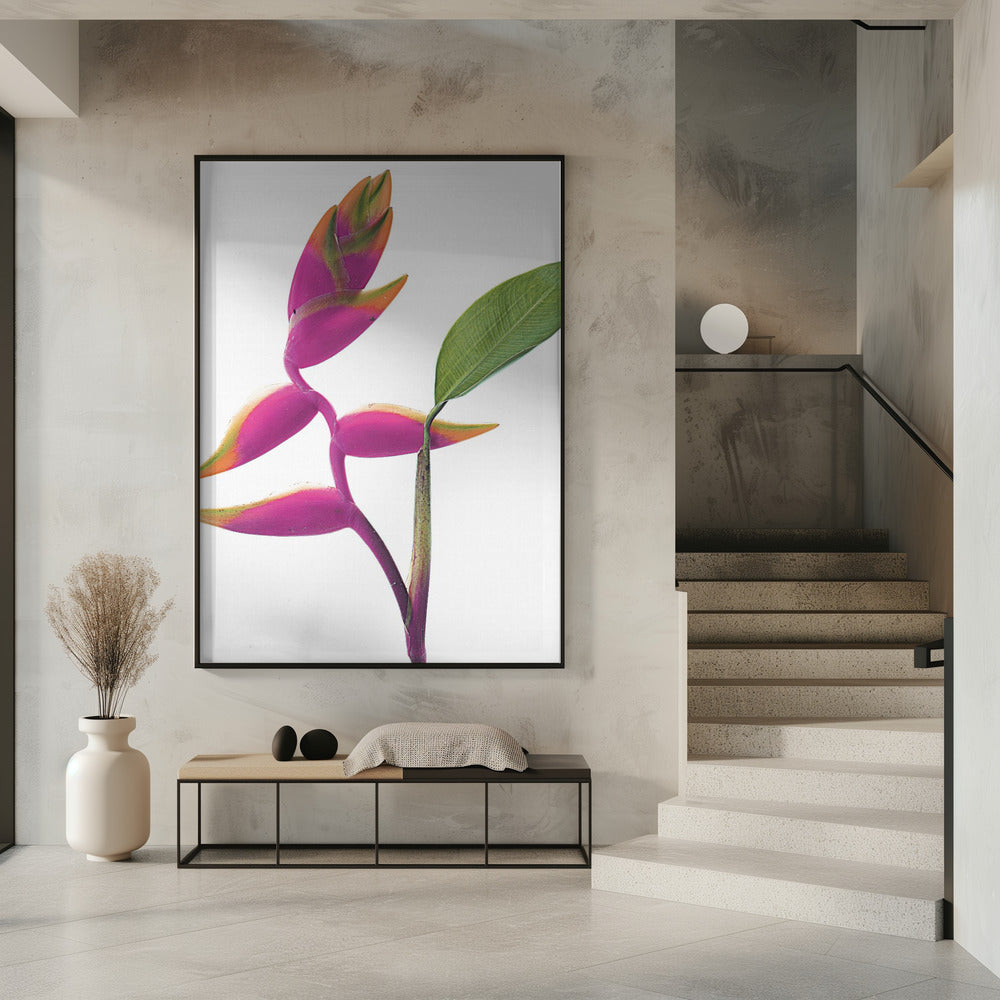 Tropische Eleganz | Poster