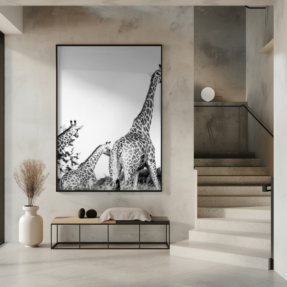 Giraffen-Familienspaziergang | Poster