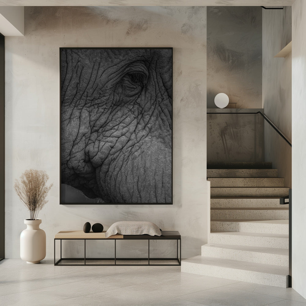 Elefantenweisheit | Poster