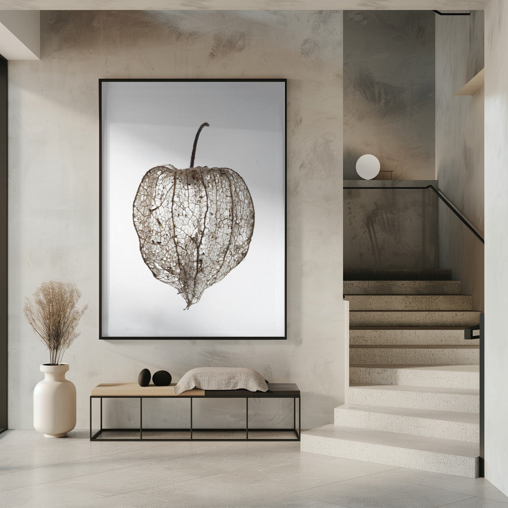 Der zerbrechliche Schleier der Natur | Poster