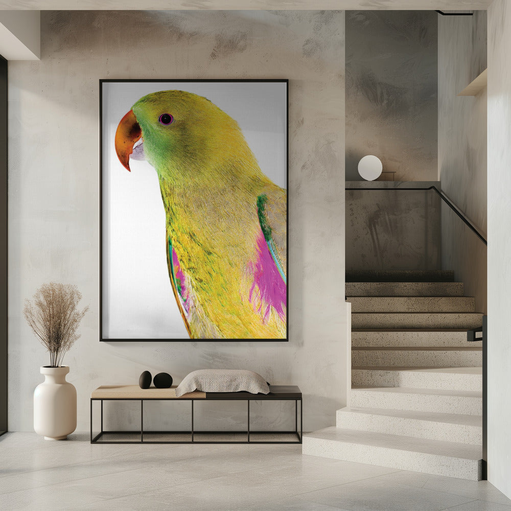 Lebendiges Papageienprofil | Poster
